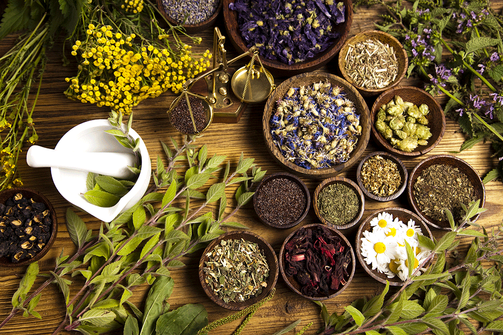 7 Adaptogenic Herbs that Help Reduce Stress - Life Gardening Tools LLC