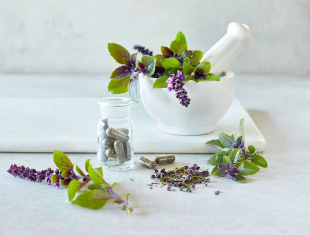 Want to learn more about Ayurveda Herbs? Here's a guide.