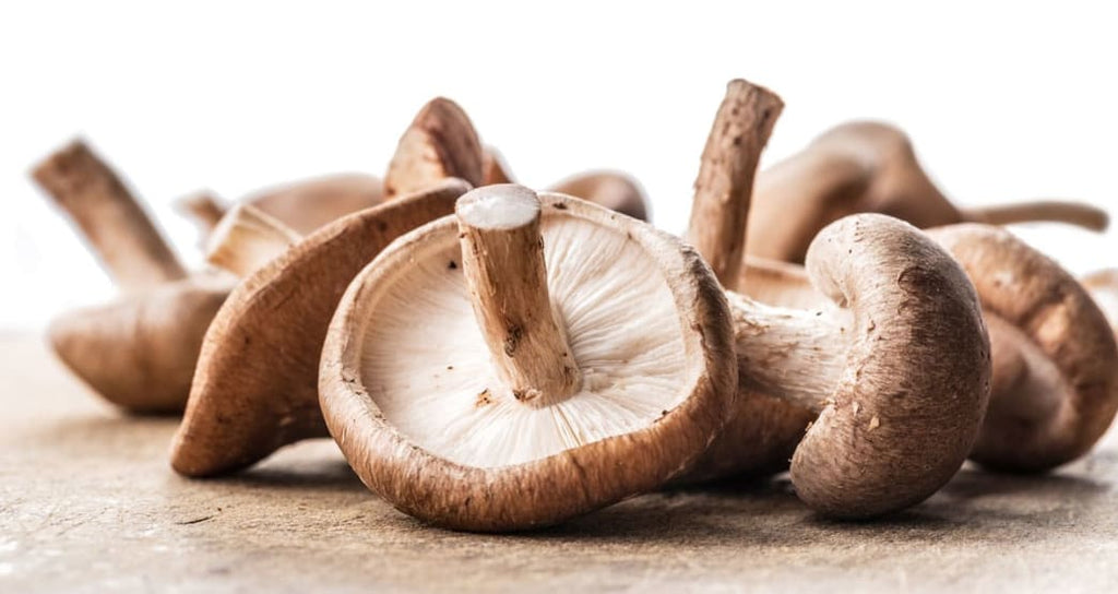 Medicinal Mushrooms Health Benefits