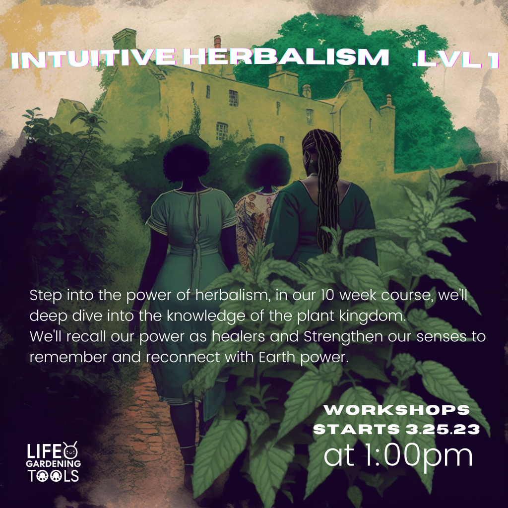 Intuitive Herbalism LVL 1 - Certification Course
