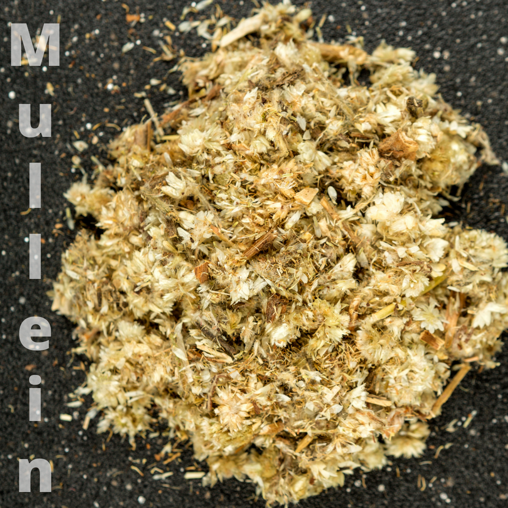 Mullein (Dried Leaves for Tea)