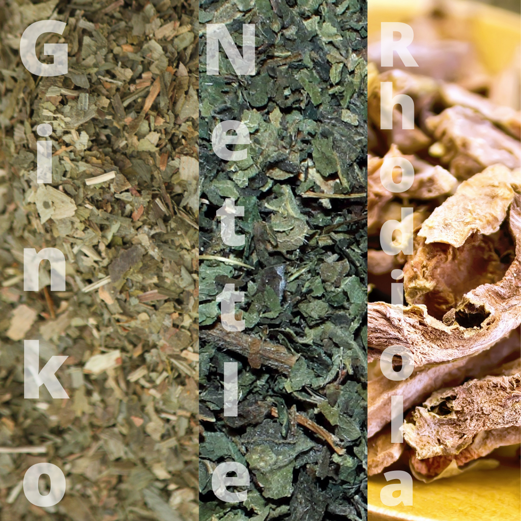 Mental Clarity Tea Blend: Nettle Leaf, Ginkgo Biloba & Rhodiola Root Tea